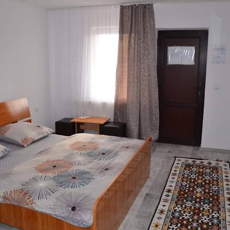 Hotel Cris & Mona à Săpînţa Extérieur photo