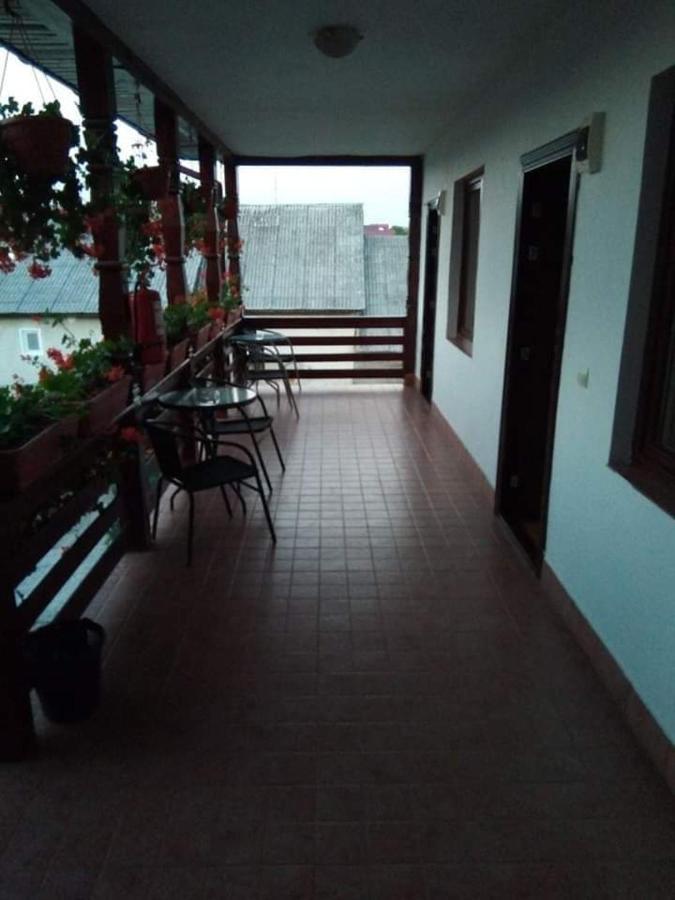 Hotel Cris & Mona à Săpînţa Extérieur photo