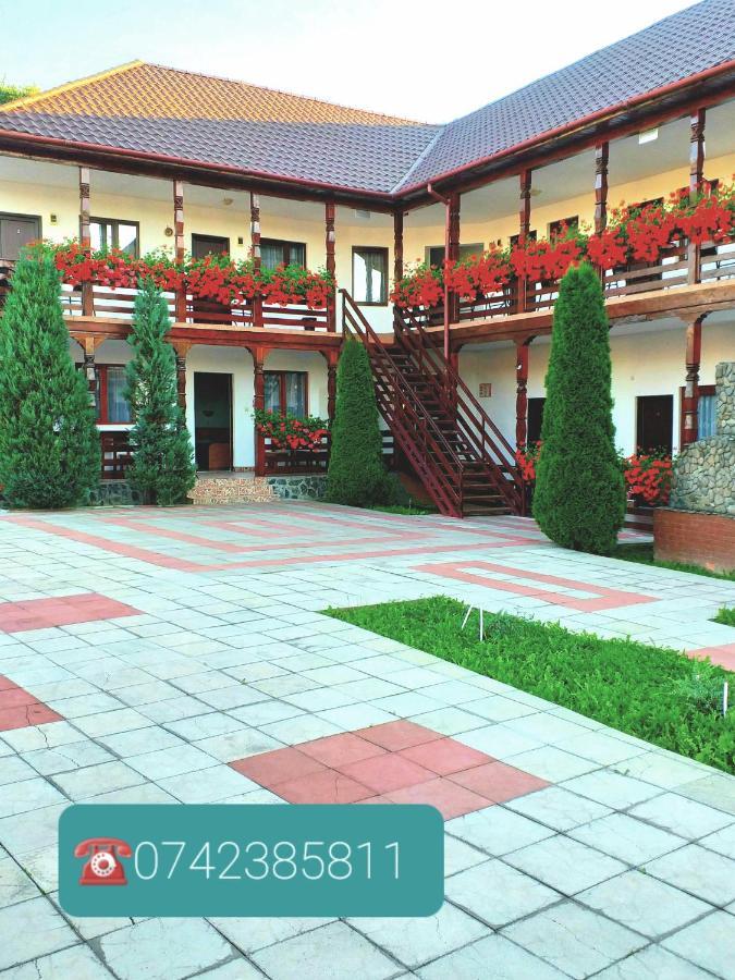 Hotel Cris & Mona à Săpînţa Extérieur photo