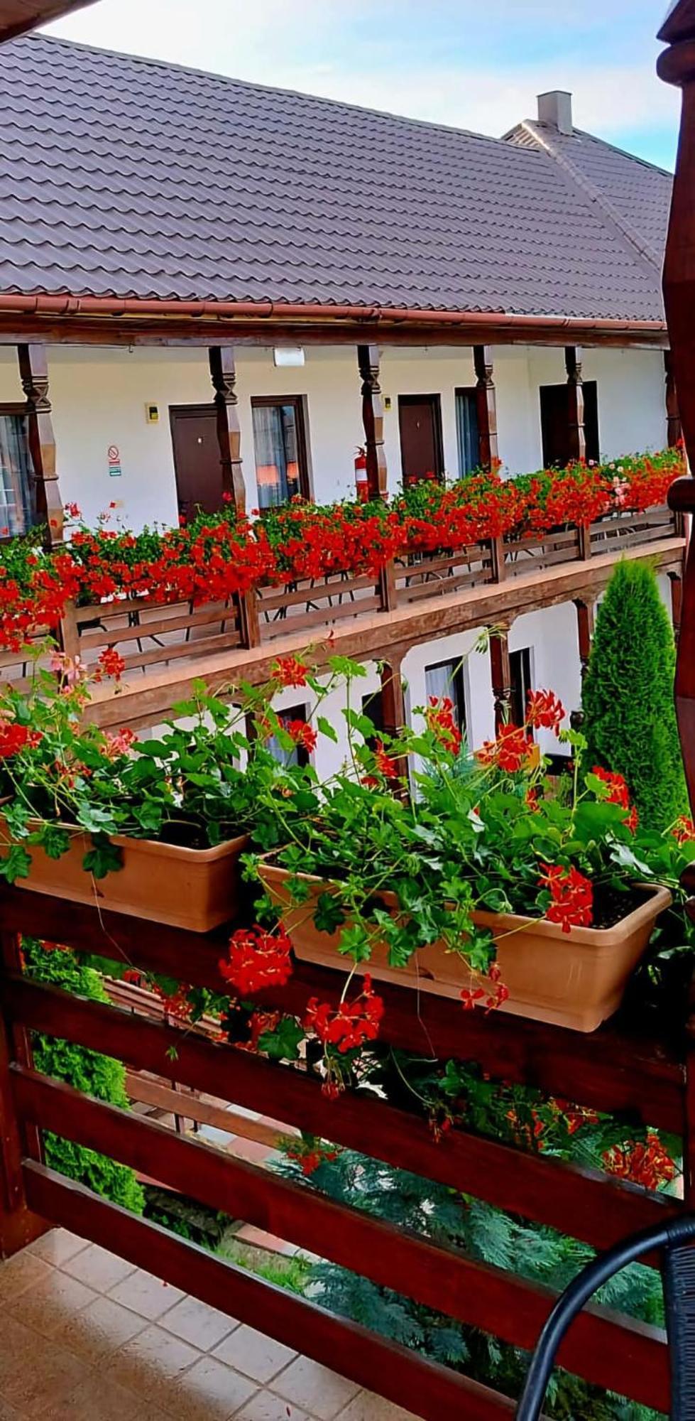 Hotel Cris & Mona à Săpînţa Extérieur photo