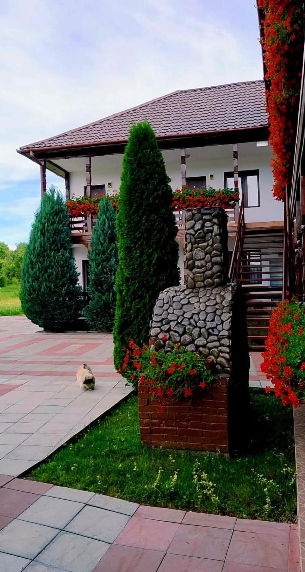 Hotel Cris & Mona à Săpînţa Extérieur photo