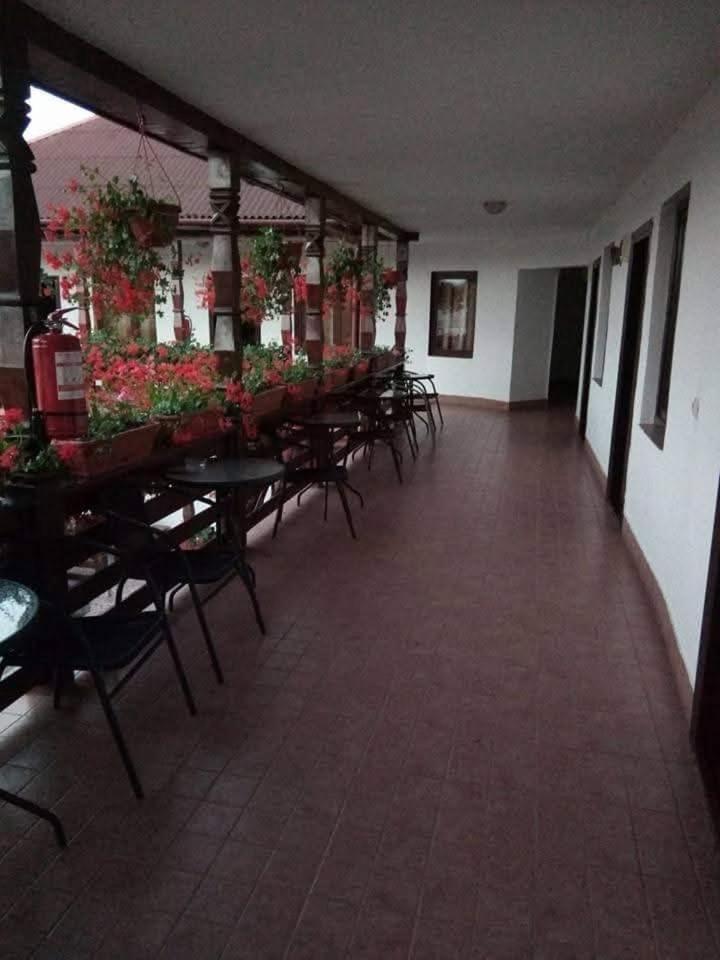 Hotel Cris & Mona à Săpînţa Extérieur photo