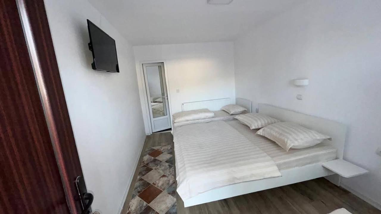 Hotel Cris & Mona à Săpînţa Extérieur photo