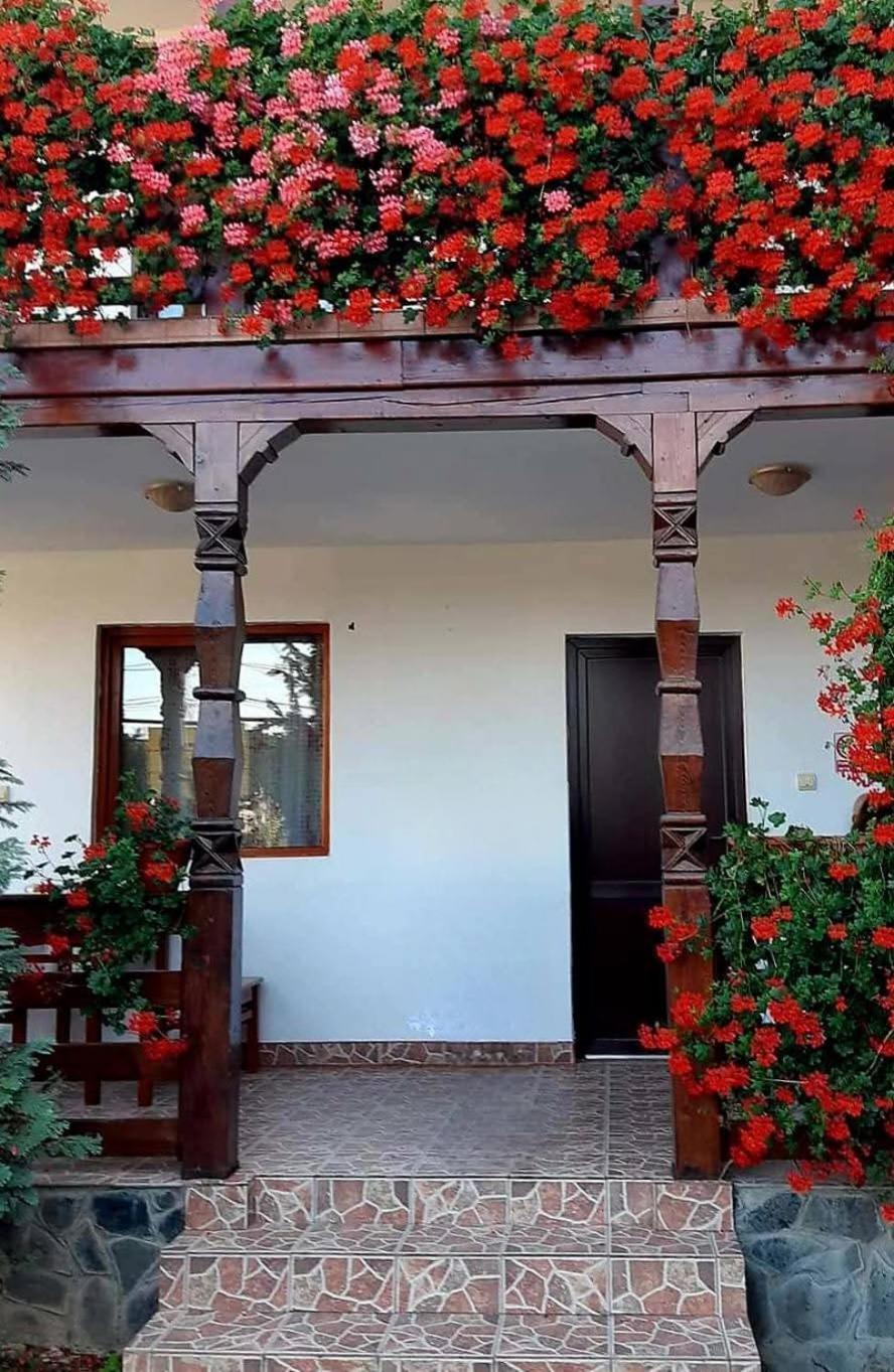 Hotel Cris & Mona à Săpînţa Extérieur photo