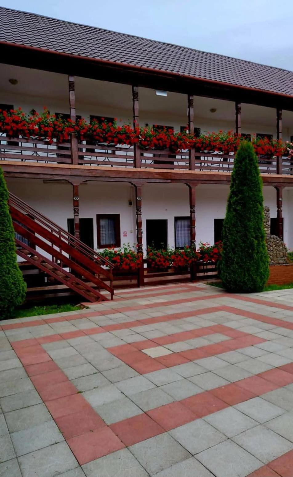 Hotel Cris & Mona à Săpînţa Extérieur photo