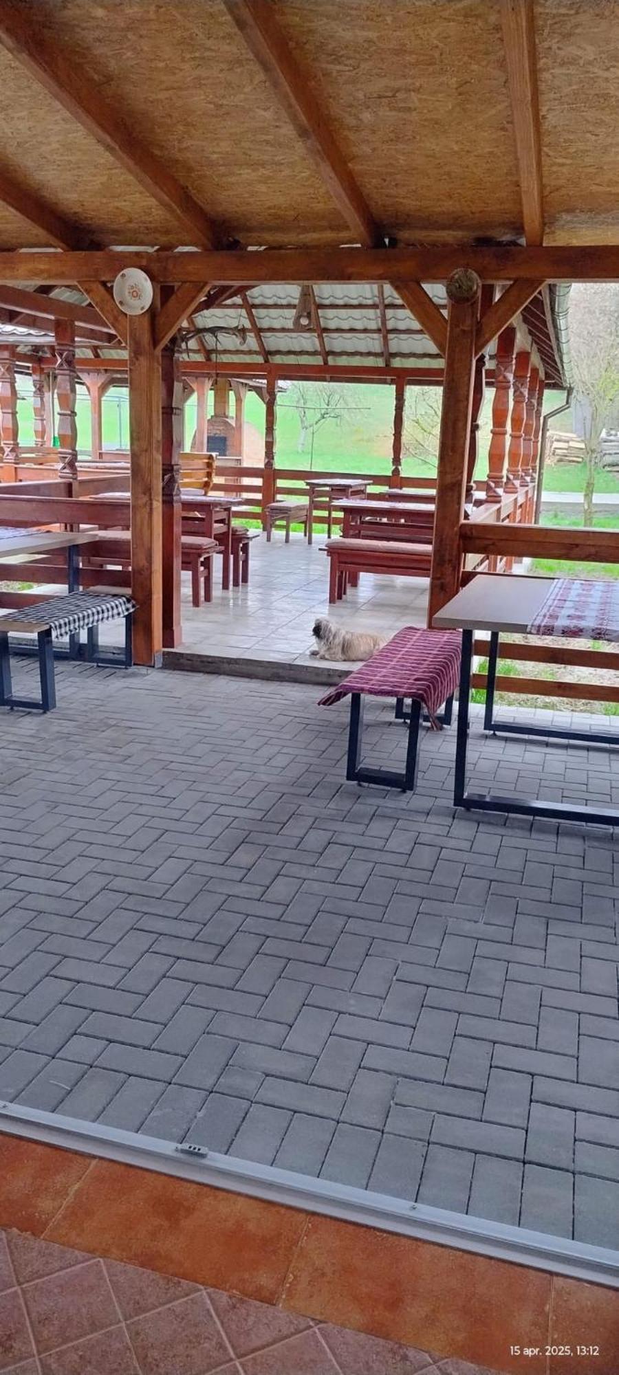 Hotel Cris & Mona à Săpînţa Extérieur photo